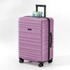 Lightweight Suitcase Set 20 24 28 Inch Travel Trolley Bag - TSA Approved Lock, 360 Spinner Wheels & Built-in Rechargeable Power Bank 