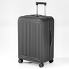 Business Trip Premium Stripe PP Hard Shell Luggage